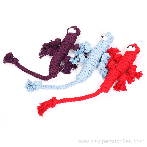 Lizard Shape Rope Dental Toy Ready Pet Toy